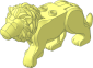 Animal Big Cat Lion