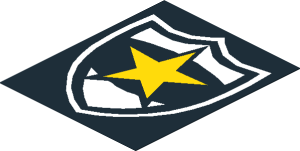 Sticker  2.3 x  1.9 with Police Yellow Star Badge on Black Background