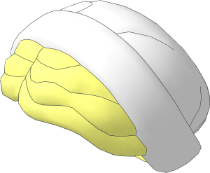 Minifig Hair with Side Part and Bun with White Servant's Cap with Folded Brim