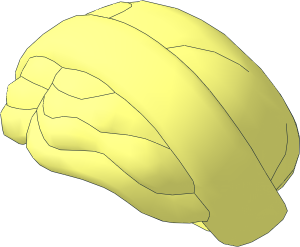 Minifig Hair with Side Part and Bun with Servant's Cap with Folded Brim