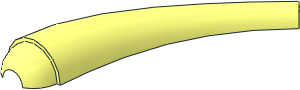 ~Animal Dinosaur Tail/Neck Curved - Top (Needs Work) ~Animal Dinosaur Tail/Neck Curved - Top (Needs Work)