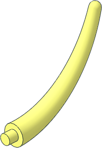 Animal Tail Section End