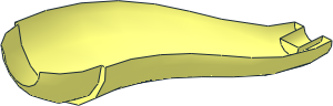 ~Animal Dinosaur Tail/Neck S Curve - Bottom (Needs Work) ~Animal Dinosaur Tail/Neck S Curve - Bottom (Needs Work)